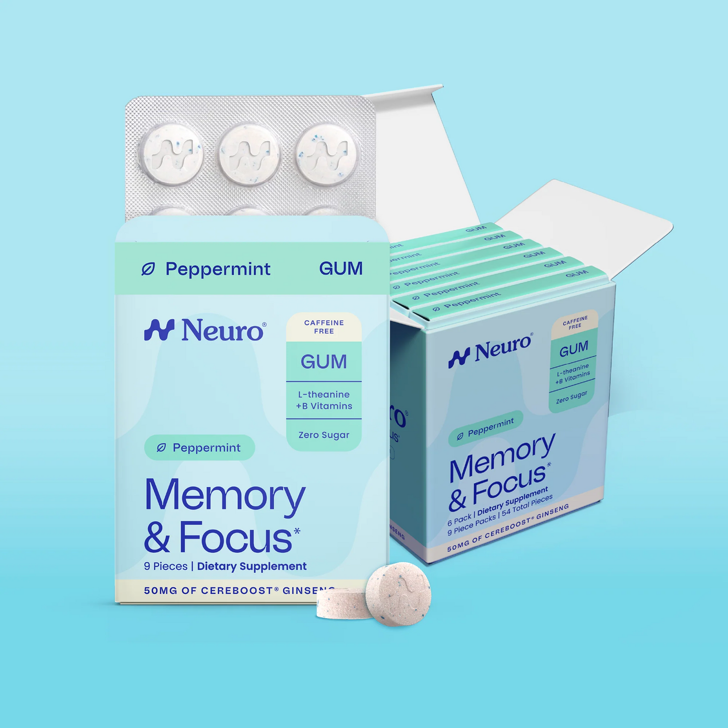 Memory & Focus